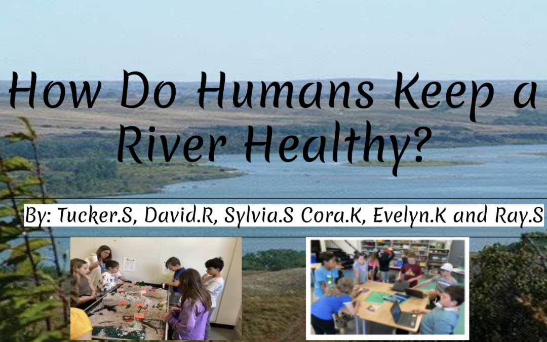 The Human Impact on Rivers of Michigan